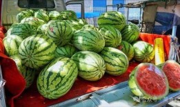 射阳网红吃瓜事件真相,真相背后的网络风波